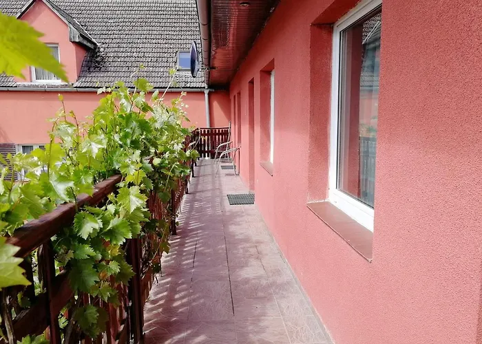 U Anny I Piotra Mielenko